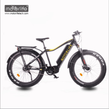 2018 new 1000w 26inch Bafang mid dive electric bike,fat tire electric bicycle made in china